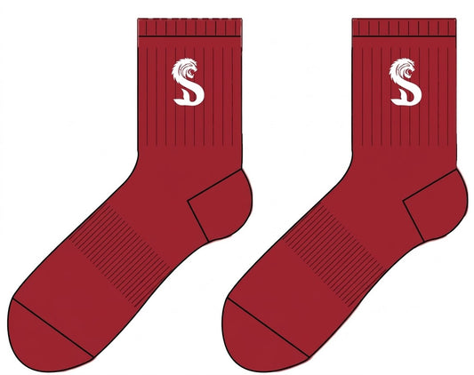 Merlions Socks
